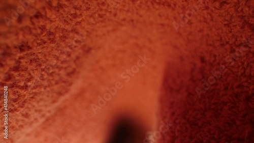 wood micro shot texture orange-red  probe lenses turnal photo