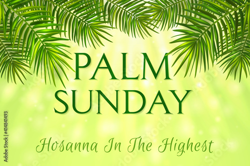 Palm Sunday - greeting banner template for Christian holiday  with palm tree leaves background. Congratulations with first day in Holy Week and symbol of triumphal entry into Jerusalem