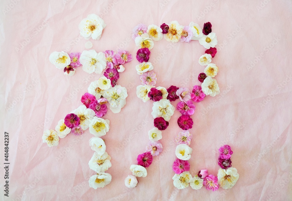 ピンクの不織布にたくさんの紅梅と白梅の花で作った祝の漢字 ピンクの不織布にたくさんの紅梅と白梅の花で作った祝の漢字