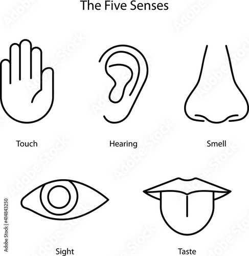 Five human senses: Hearing, Sight, Smell, Taste and Touch. Simple line icons and color circles eye, nose, ear, mouth with tongue, hand. Human perception scheme. Five senses.