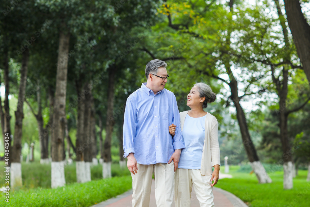 Happy old couple walking in the park