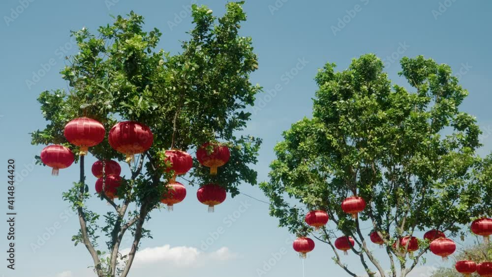 Multiple Chinese lantern use at the decoration and hanging at the tree during the Chinese New Year. Filmed during the sunny day with blue sky. Multiple Chinese lantern use at the decoration and hanging at the tree during the Chinese New Year. Filmed during the sunny day with blue sky.