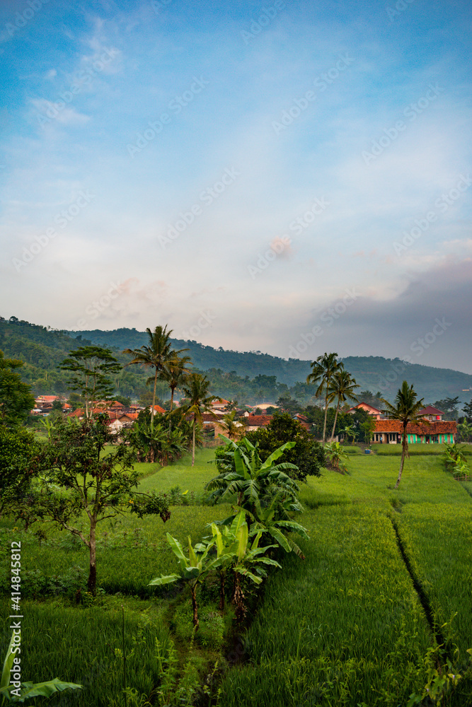 landscape in the mountains