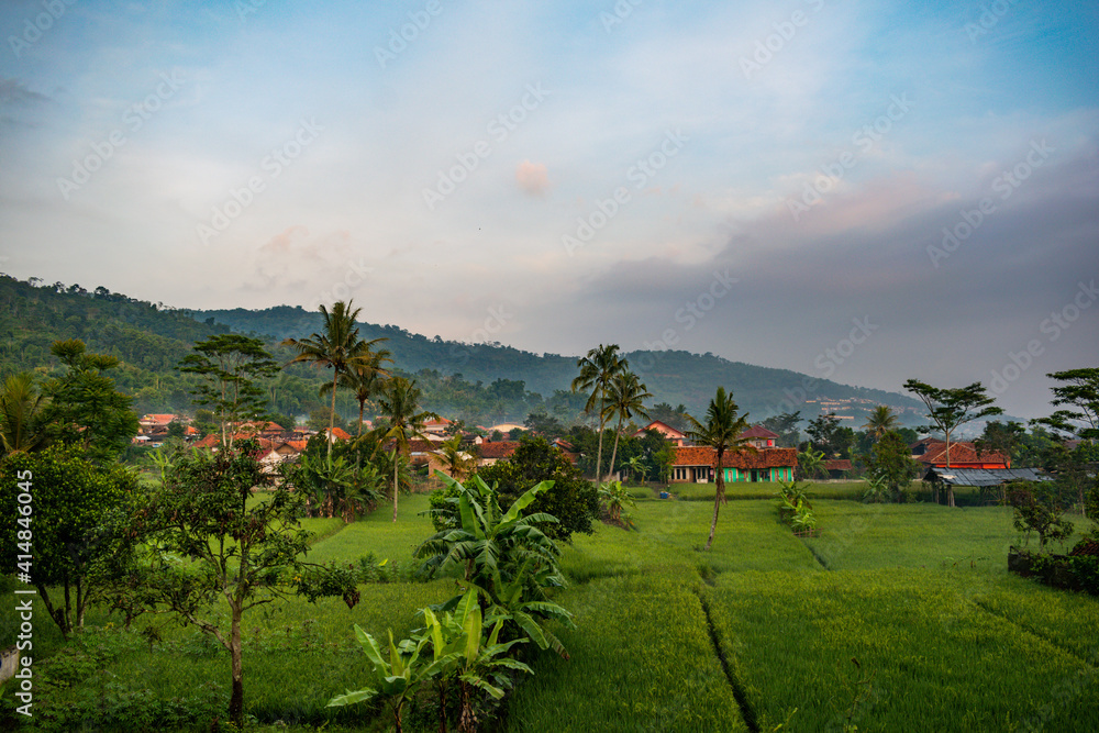 landscape in the mountains