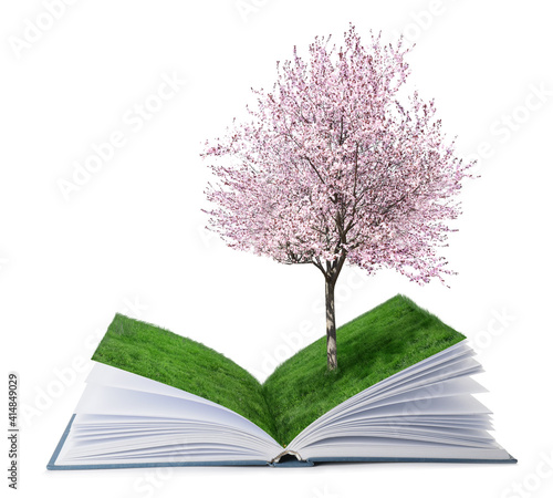 Open magic book with growin...