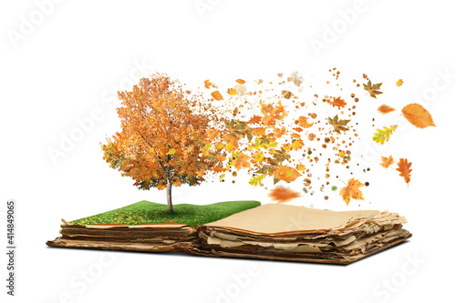 Open magic book with growin...