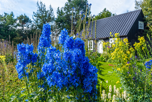 Schilderij op canvas View of the botanical garden at Akureyri, Iceland