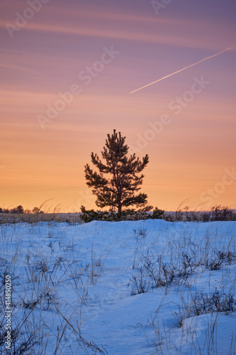 beautiful winter landscape at sunset