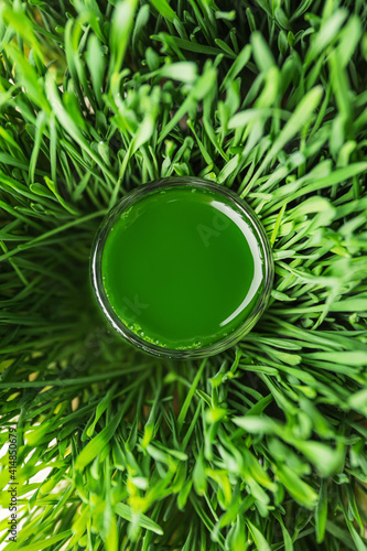 Glass with fresh wheatgrass juice on grass background