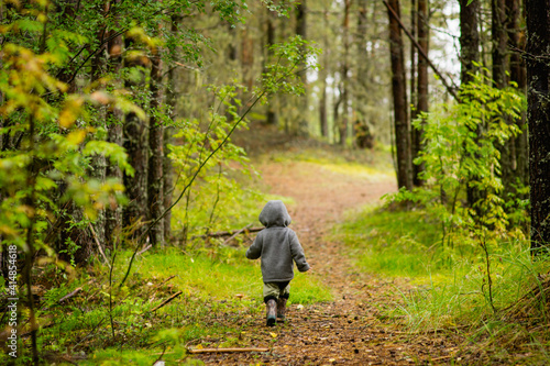 little boy walks in the woods, selective focus