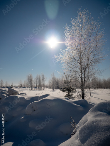 winter landscape with snow