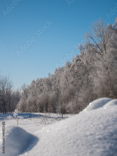 winter landscape with trees and snow
