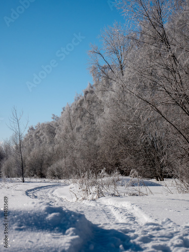 winter landscape with trees and snow