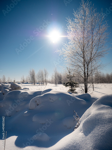 sunny day in winter field