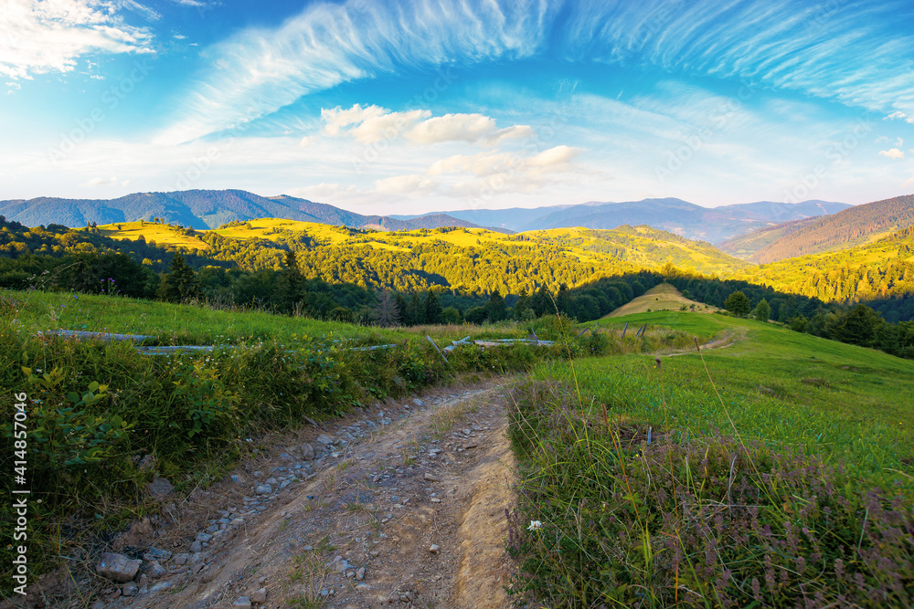Fototapeta premium rural landscape in mountains at summer sunrise. country road through grassy pasture winding down in to the distant valley. clouds on the blue sky above the ridge in the distance
