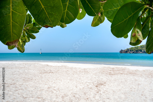 Fototapeta Naklejka Na Ścianę i Meble -  Beautiful nature landscape beach and sea under the sunlight tree with large green leaves of the Terminalia catappa at Koh Tarutao, Tarutao National Park, Satun, Thailand