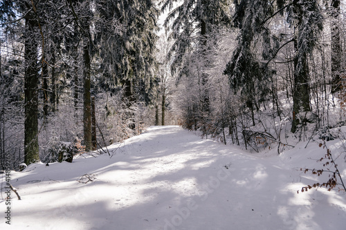 Verschneiter Waldweg im Steinwald (Naturpark Steinwald)