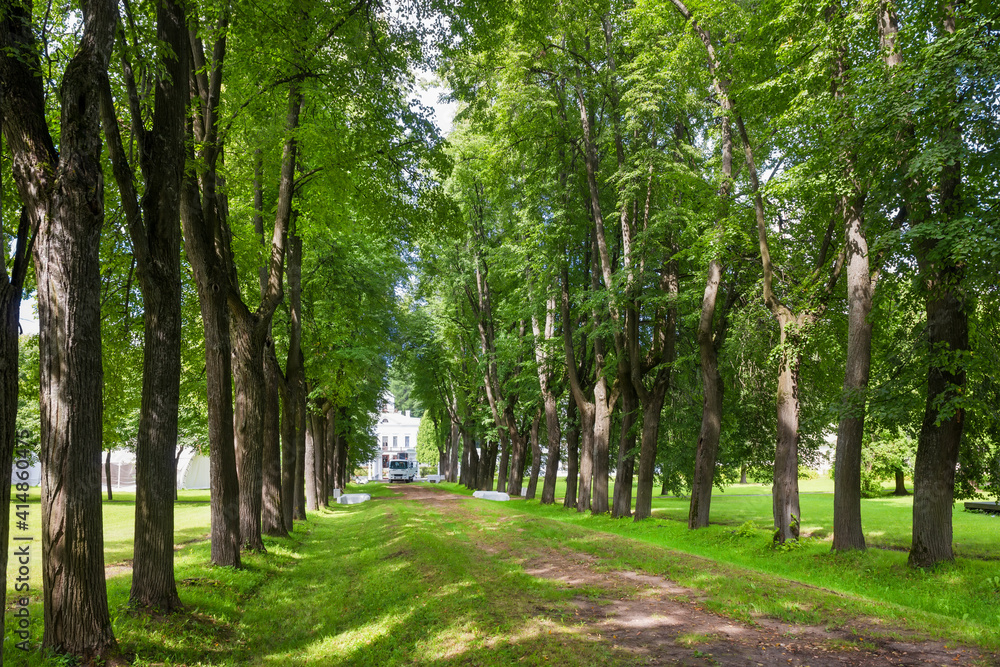 Linden alley of the Serednikovo estate and the main house on a summer day