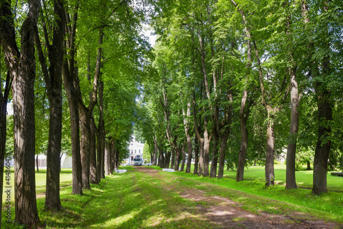 Linden alley of the Serednikovo estate and the main house on a summer day