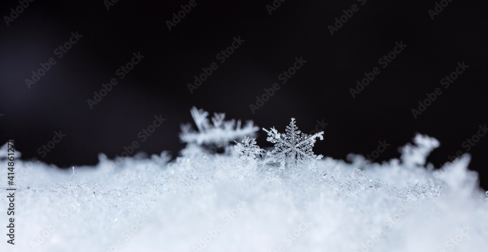 winter photo of snowflakes in the snow winter photo of snowflakes in the snow