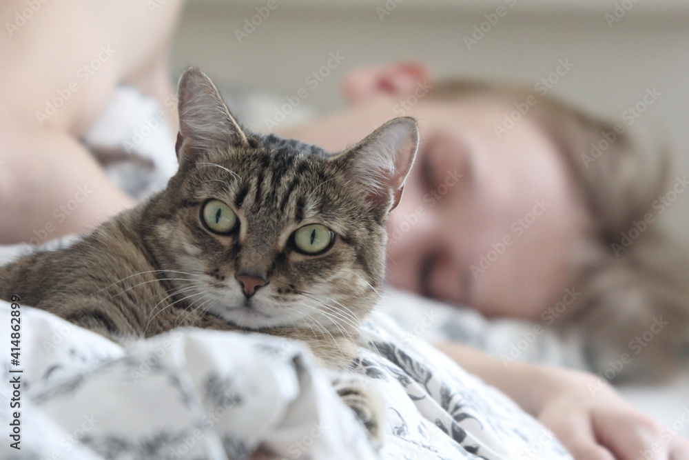 A young guy sleeps with a cat in the same bed. Love for pets.