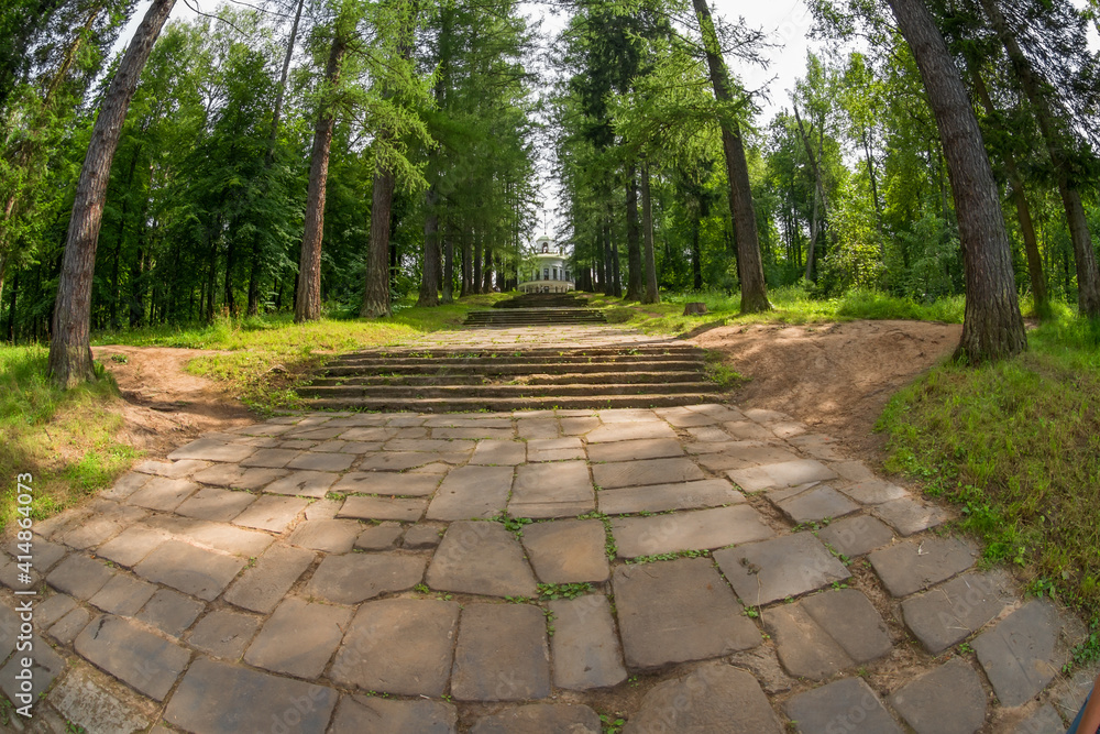 Ascent from the pond along the forest alley to the main building of the Serednikovo estate Ascent from the pond along the forest alley to the main building of the Serednikovo estate