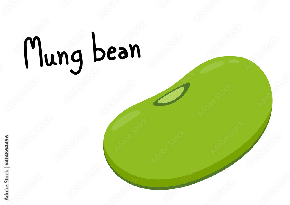 Mung Bean vector. Mung Bean on white background. Mung Bean vector. Mung Bean on white background.