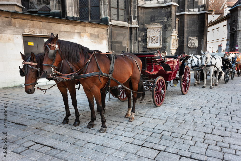 Queue of Beautiful Horse Drawn Carriages in Vienna, Stephansplatz (St. Stephen's Cathedral), Waiting for Tourists. Queue of Beautiful Horse Drawn Carriages in Vienna, Stephansplatz (St. Stephen's Cathedral), Waiting for Tourists.