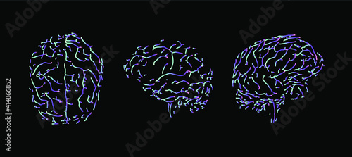 The human brain from the front and side view. MRI of CT scan.