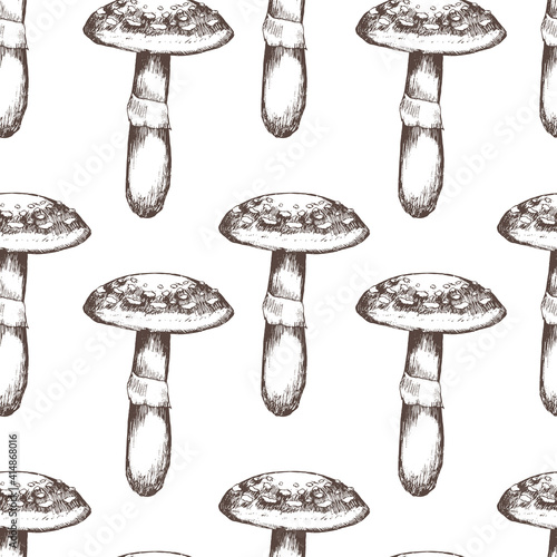 Forest plants and mushrooms seamless pattern. Flowers of clover, geranium, periwinkle, Rhodiola Rosea, Licorice Bolete, Morel and Shimeji. Hand drawing. Red and white. Vintage.