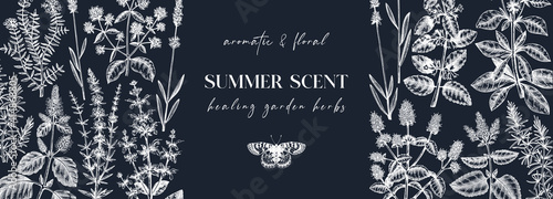 Mints on a chalkboard. Hand sketched medicinal herbs banner design. Vector mint plants sketches. Vintage summer flowers template. Botanical background with floral elements in engraved style.