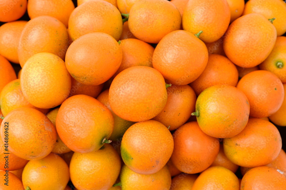 oranges in the market oranges in the market