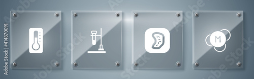 Set Molecule, Bacteria, Test tube flask on fire and Medical thermometer. Square glass panels. Vector.