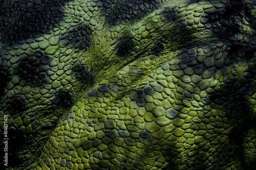 Detail of green scaly leather with black maps. Material for the production of leather goods - belts, handbags, shoes, coats, hats.