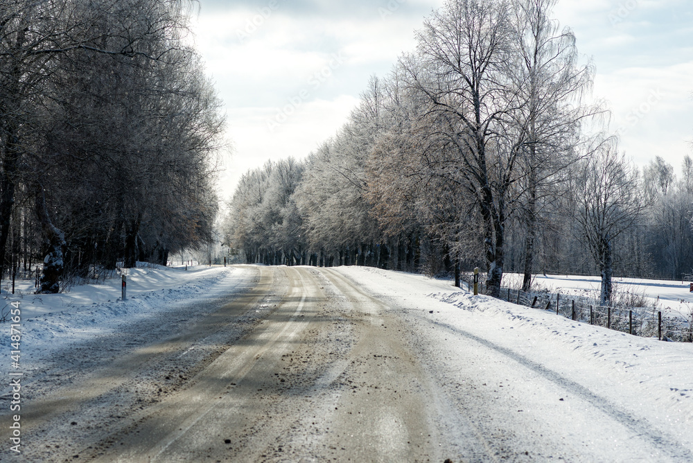Obraz premium Winter road in snowy forest on a sunny day.