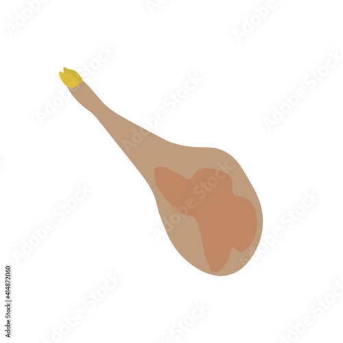 icon vector, delicious serrano ham pork leg