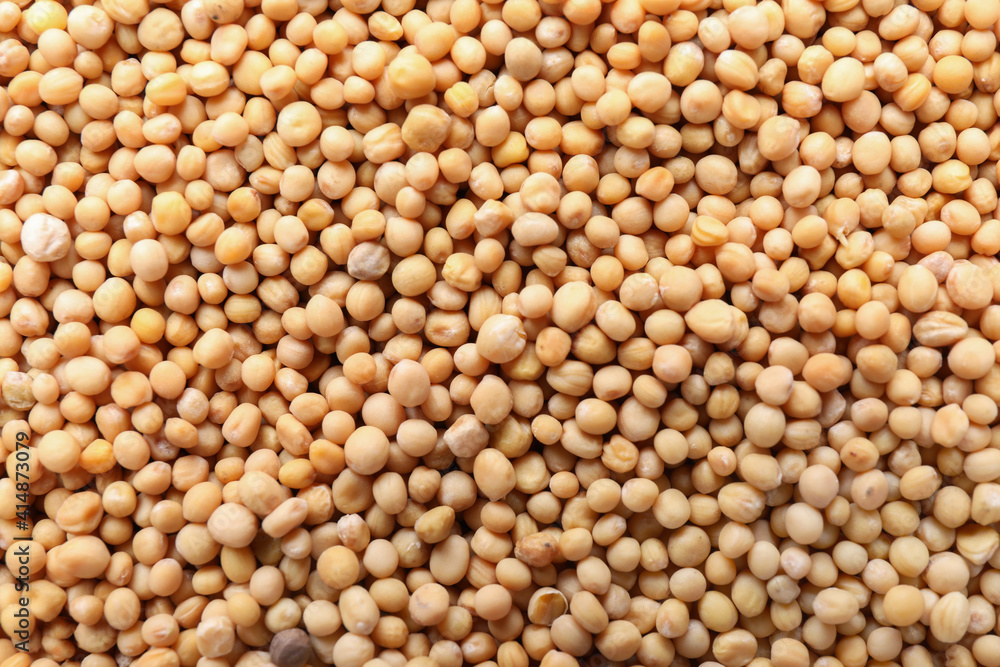 Heap of mustard seeds as background, closeup Heap of mustard seeds as background, closeup