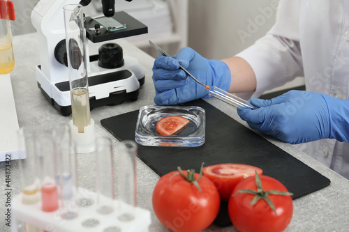 Scientist inspecting tomato in laboratory, closeup. Food quality control photo