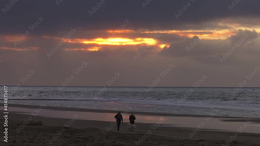 Couple Dog walking along Wadden beach shore under lovely cloudy dusk in Texel in North Holland, Netherlands - Wide Static shot Couple Dog walking along Wadden beach shore under lovely cloudy dusk in Texel in North Holland, Netherlands - Wide Static shot