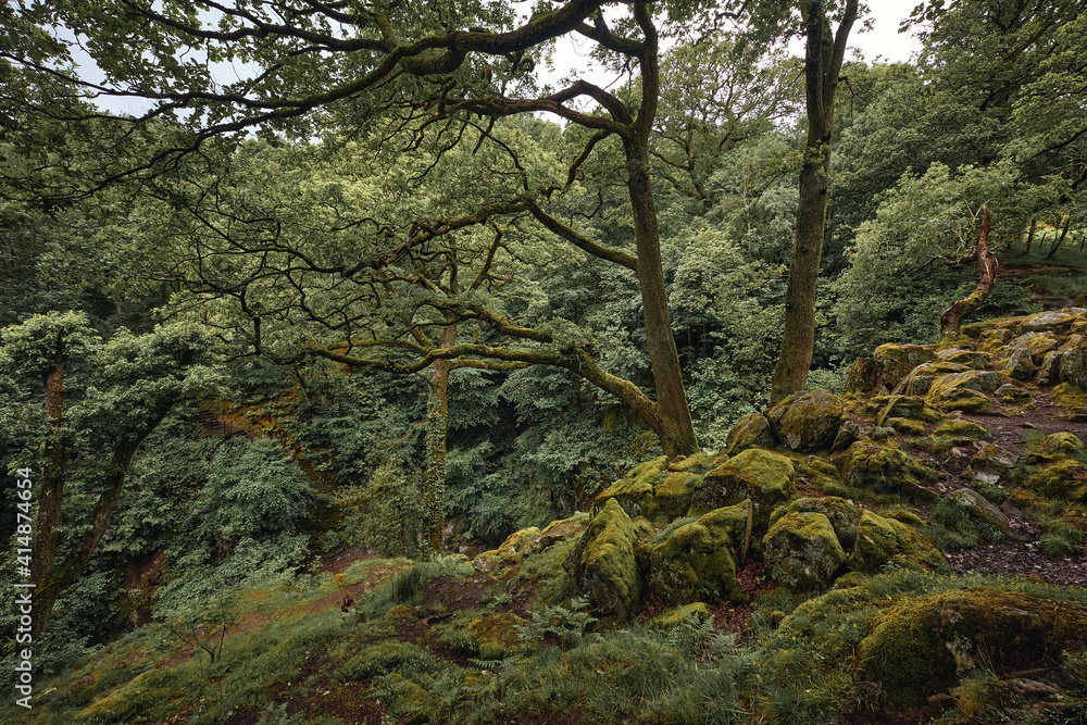 Lake District, United Kingdom