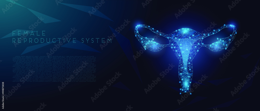 Female reproductive system, uterus organ, isolated on dark blue