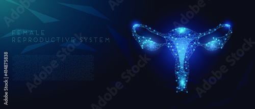 Female reproductive system, uterus organ, isolated on dark blue background. Obstetrics and Gynecology concept. Abstract low poly wireframe style. Stock vector illustration.