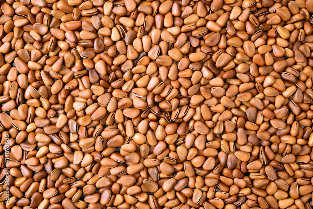 Pine nut background Pine nut background