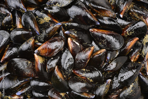 mussels