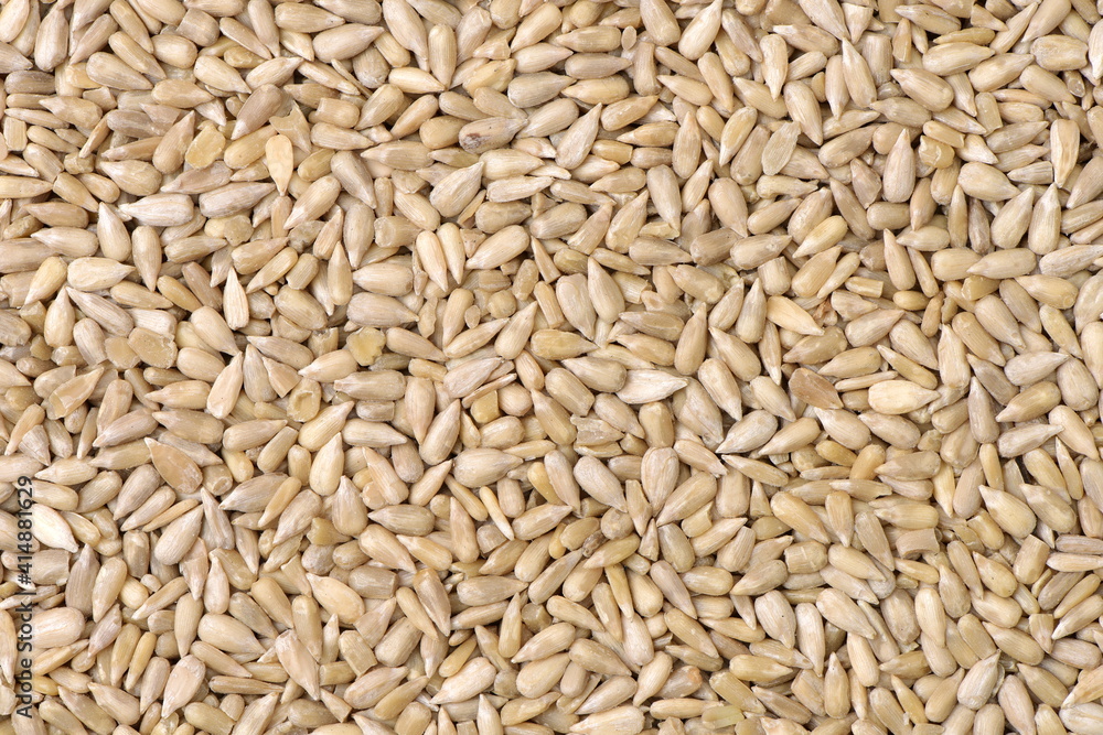Peeled sunflower seeds pile background Peeled sunflower seeds pile background