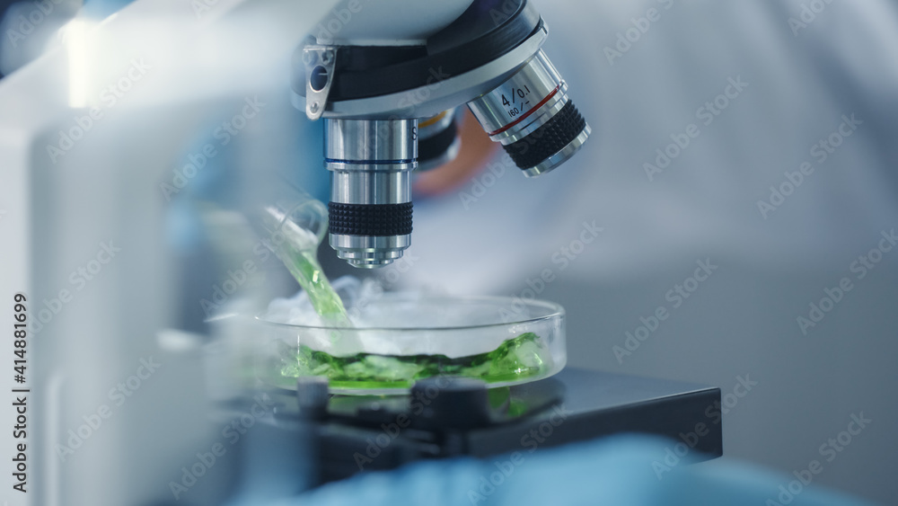 Macro Close Up Shot of a Scientist Mixing Green Chemical Liquid Under the Microscope on a Sample Petri Dish. Microbiologist Working in Modern Laboratory with Technological Equipment. Macro Close Up Shot of a Scientist Mixing Green Chemical Liquid Under the Microscope on a Sample Petri Dish. Microbiologist Working in Modern Laboratory with Technological Equipment.