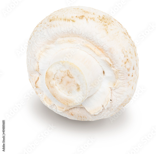 Whole mushroom (champignon, cut foot, Agaricus Bisporus) and raw. Isolated on white background
