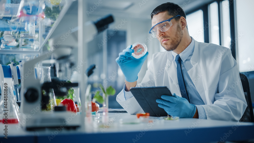 Male Microbiologist Working on Tablet Computer and Examining a Lab-Grown Vegan Meat Sample. Medical Scientist Working on Plant-Based Beef Substitute for Vegetarians in Modern Food Science Laboratory.