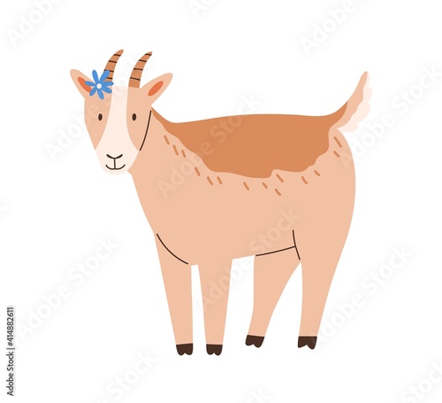 Happy funny goat isolated on white background. Cute sheep flower on head. Smiling baby animal. Childish colored flat cartoon vector illustration