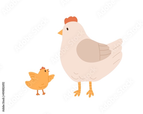 Side view of cute hen and yellow chicken isolated on white background. Mom li...